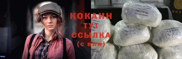 шишки Арсеньев