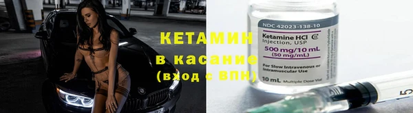шишки Арсеньев