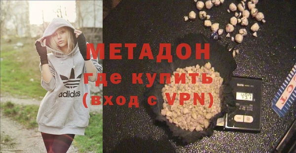 шишки Арсеньев