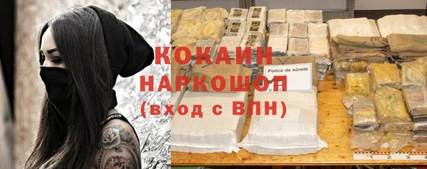 шишки Арсеньев