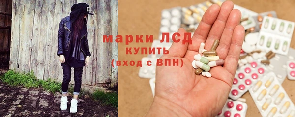 шишки Арсеньев