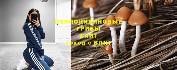 прущий лед Аркадак