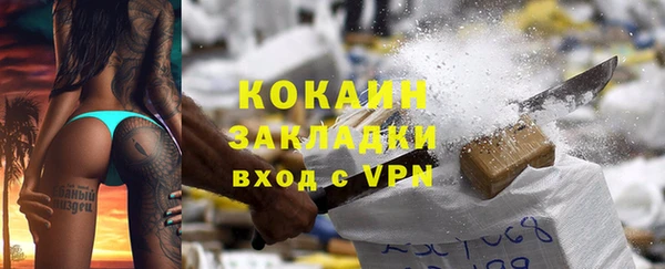 шишки Арсеньев