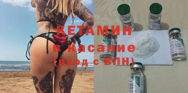 шишки Арсеньев